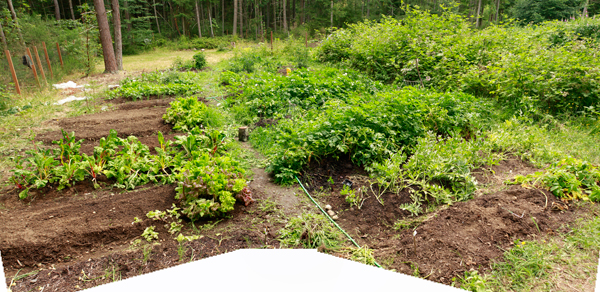 gardenpano-pt